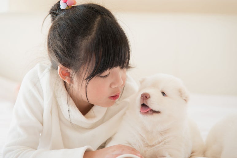 인천 반려동물 장례 완전가이드 | 절차·비용·준비사항 총정리