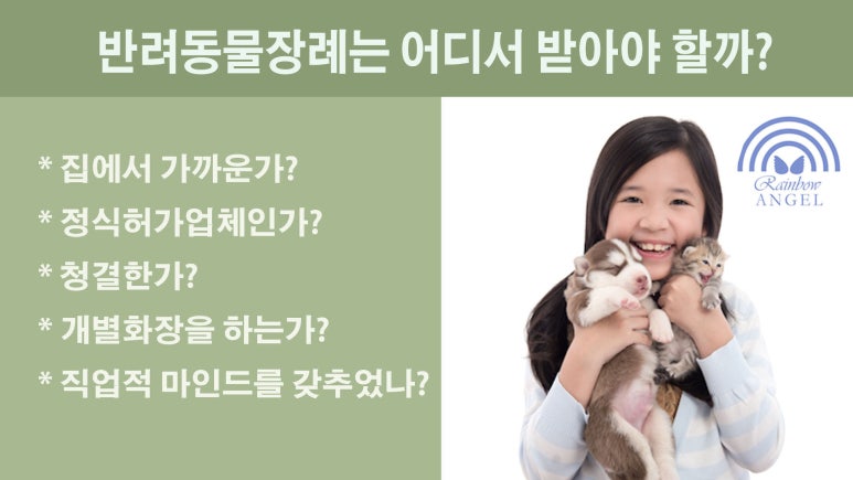 반려동물 장례 레인보우엔젤 3