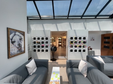 반려동물 장례 레인보우엔젤 11