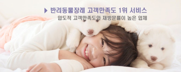 반려동물 장례 레인보우엔젤 14