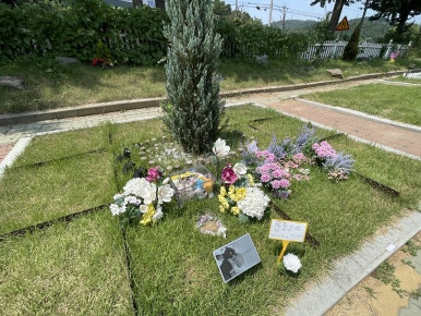 송파구 반려동물 장례 | 절차·비용·당일 가능 여부