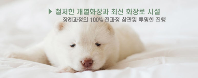 자체 블로그 이미지 17