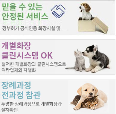 자체 블로그 이미지 18