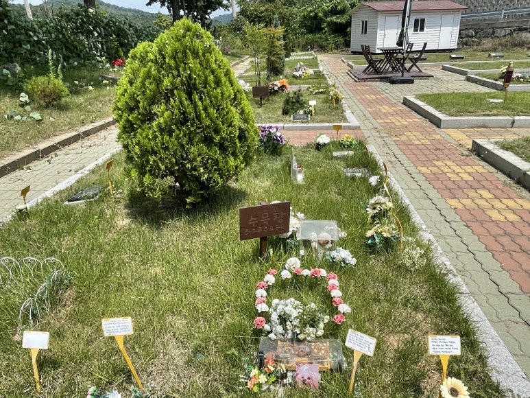 자체 블로그 이미지 23