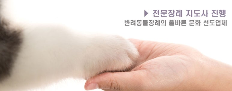 자체 블로그 이미지 27