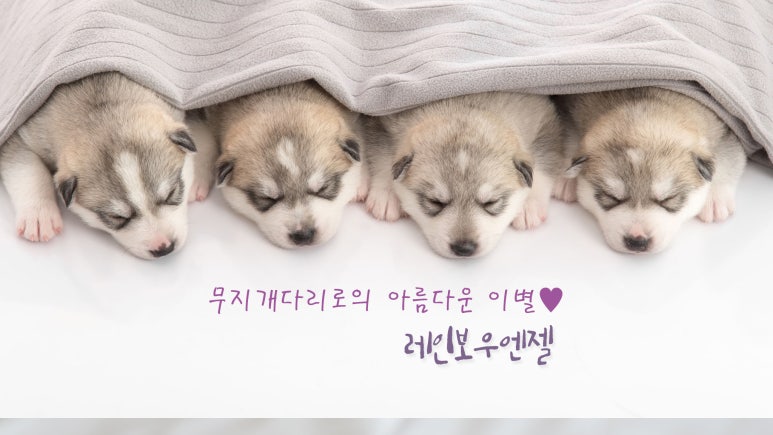 자체 블로그 이미지 28