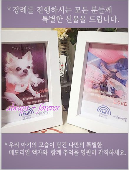 자체 블로그 이미지 30 (변형 #3)